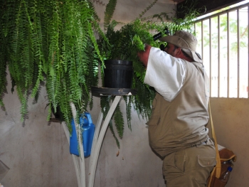 Combate a dengue no Setor Leste do Gama