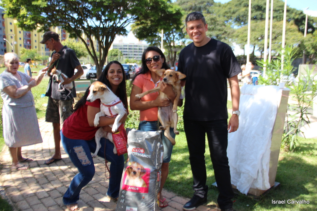 Animais de estimação vão poder ser levados no transporte público do DF