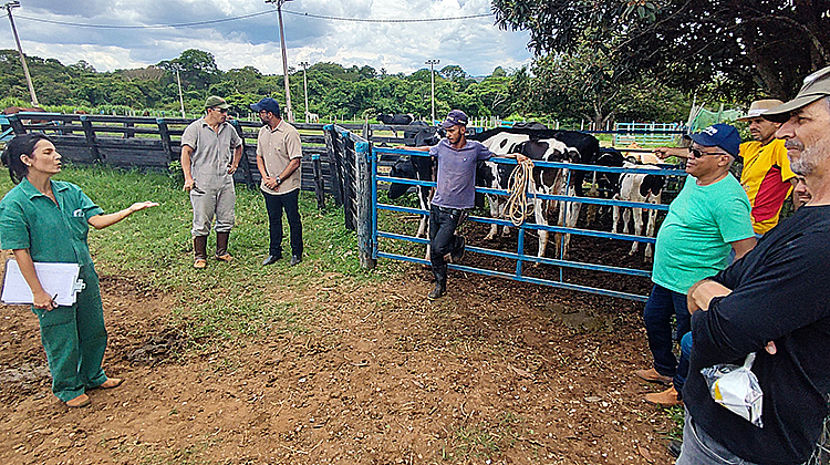 Produtores rurais do Gama se qualificam sobre bovinocultura leiteira